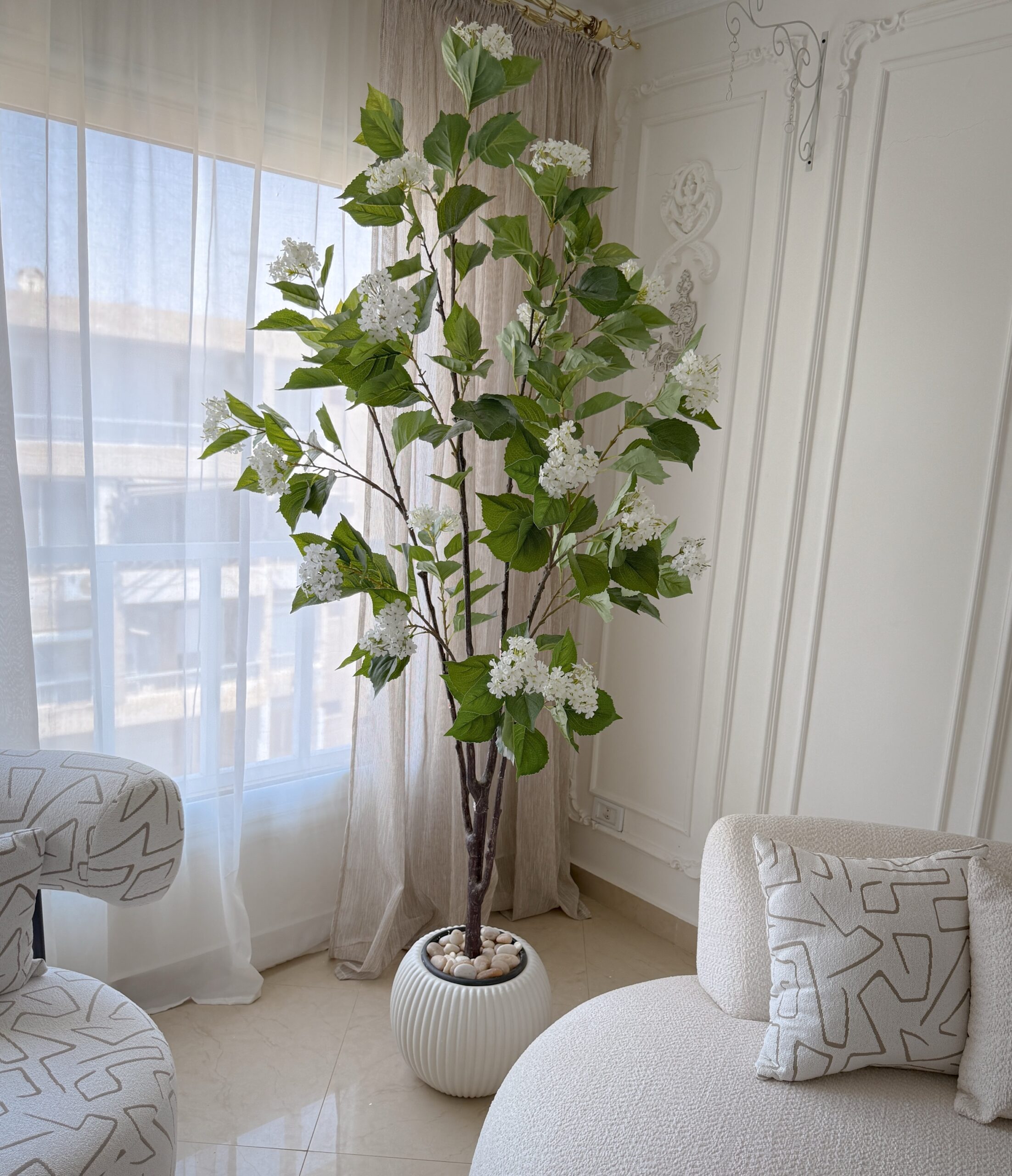 Jasmine Tree